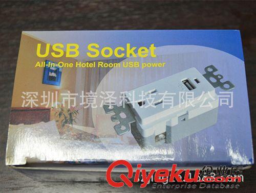 美规插座 美规USB墙壁插座充电器 美规115 美规规插座就在境泽 生产厂家