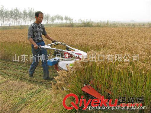 农业机械 生产收割机，大批量供应割幅1.2/1.5米，收割水稻小麦-生产销售