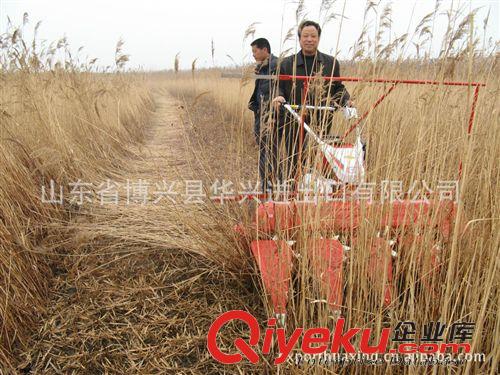 农业机械 生产收割机，大批量供应割幅1.2/1.5米，收割水稻小麦-生产销售