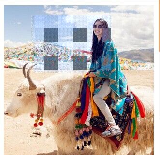 9月21号新款 爆款张雨绮西藏同款 尼泊尔太阳花加厚混羊绒冬季披肩围巾女MH52