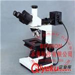 显微镜 供应  粤显L2030金相显微镜  三目正置金像显微镜