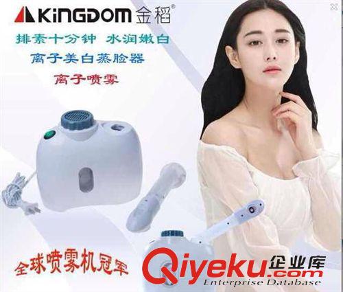 金稻系列 金稻KD-668苹果纳米离子空气净化加湿器香薰冷喷雾器USB 彩光变换