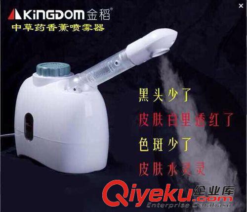 金稻系列 金稻K-33Czcy喷雾机蒸脸器热喷机美容仪器家用喷雾器洁面仪