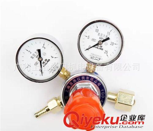 减压器 供应YQD-08氮气减压器/绍兴剑龙仪表压力表/上海派澳仪表有限公司