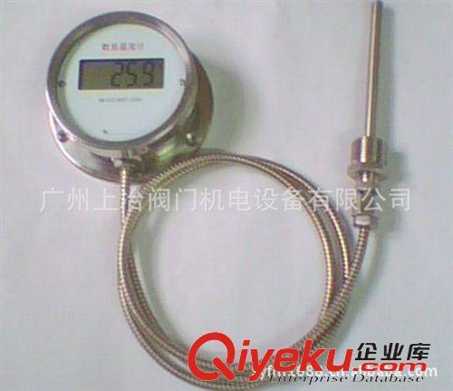 压力式温度计 WMZ-200/DTM-280数显温度计/远传数显温度计/液晶数字温度计