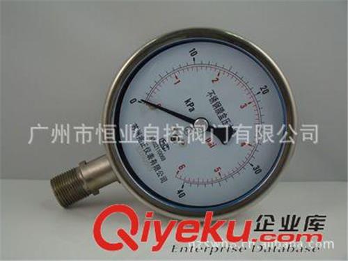 压力表 供应YE-100BF不锈钢膜盒压力表、富阳压力表