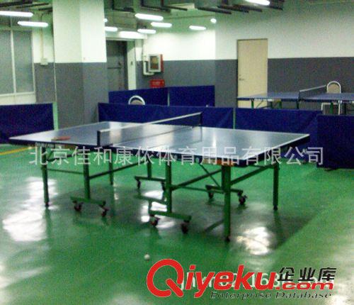 *乒乓球台系列 特别供应JHKN-2016 双鱼203乒乓球台 室内乒乓球台 室外乒乓球台