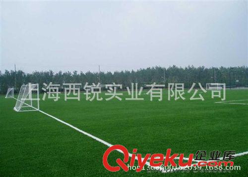 翻新/改造 翻新 维修 足球场人造草坪上海专业施工填充 50mm足球专用草
