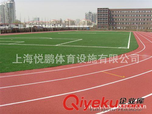 PU球场  江苏宿迁市泗阳县混合型塑胶跑道施工厂家