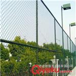 球场灯  球场围网 围网建造 球场灯光设施 球场专用灯具 进秋体育工程公司