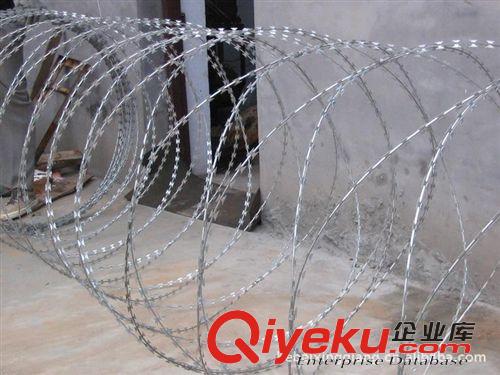 刺绳 防护网钢丝 刺绳防护网 刺绳厂低价促销
