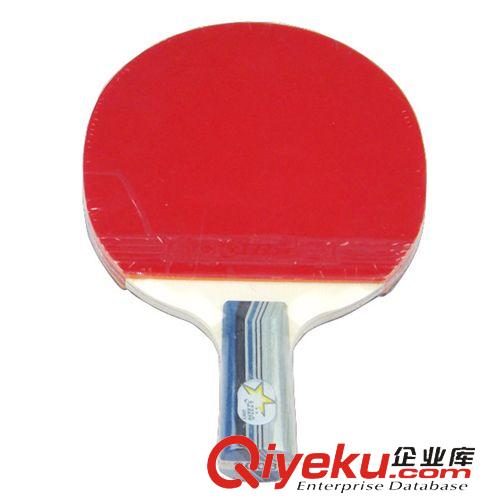 乒乓球系列 二星zp红双喜乒乓球拍 直拍2006 带拍套 双面反胶弧圈快攻打法