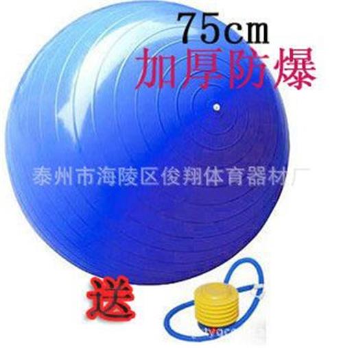 产品大全 高品质75CM瑜伽球 健身用品人人喜爱的产品 厂家xx销售
