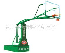 新款推荐 厂家直销 电动液压篮球架 供应自由升降电动液压篮球架 全网销售