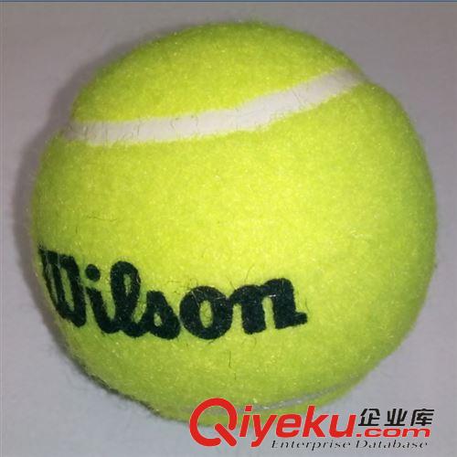 网球拍 网球 zpwilson 威尔逊 高级训练 业余比赛 澳网专用 羊毛耐用