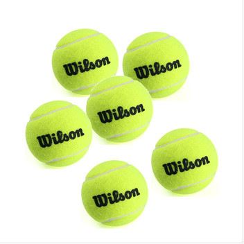 网球拍 网球 zpwilson Trainer Ball in Poly Bag 60粒袋装 高级训练