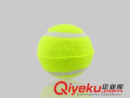 其他产品 宠物用品批发 三级网球  猫狗玩具球 三级球 宠物网球 网球