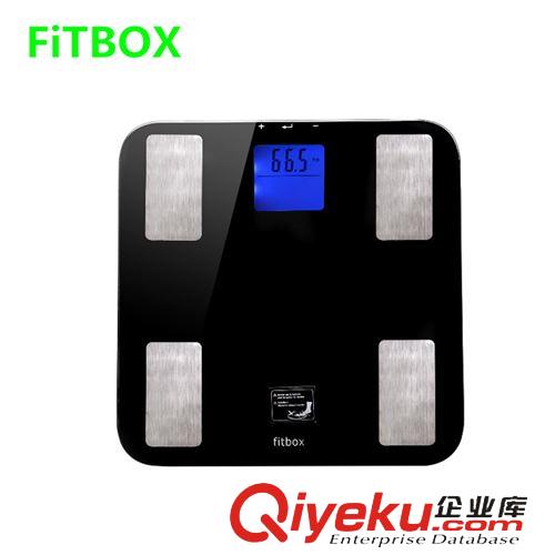 体重秤 厨房称 FITBOX人体脂肪秤zp 双行屏幕 蓝色背光 脂肪测量仪批发