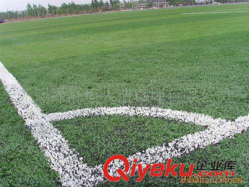 运动系列 专业生产销售足球场人工草坪（对运动员无伤害）