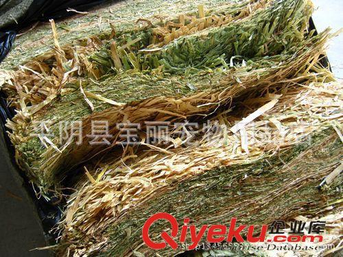 牧草类 小宠用进口黄金燕麦草25公斤/捆粗纤维7元/公斤一捆起批/