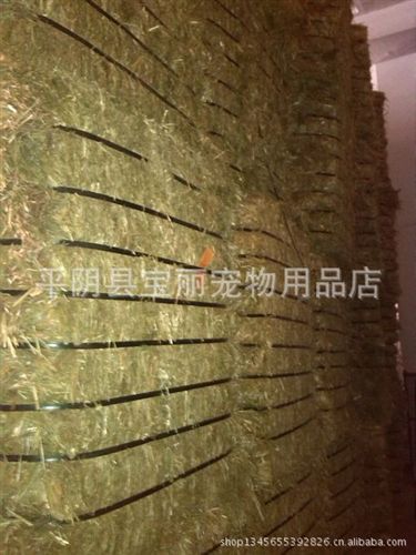 牧草类 小宠用进口黄金燕麦草25公斤/捆粗纤维7元/公斤一捆起批/