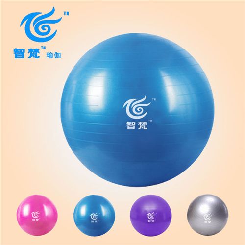 瑜伽用品 加厚防爆健身瑜伽大龙球充气pvc55cm郑多燕jf操am球可混批发