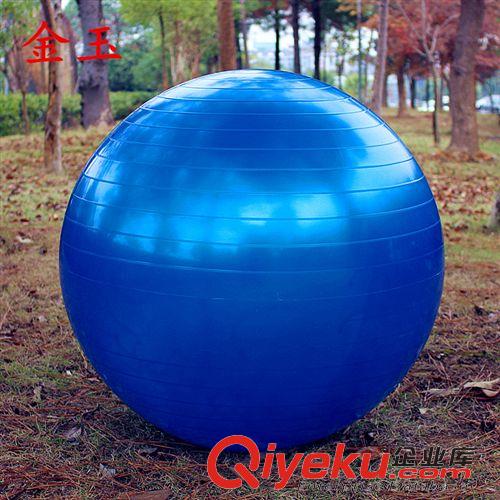 瑜伽球 厂家批发 原装防爆瑜伽球65cm 充气加厚瑜伽球