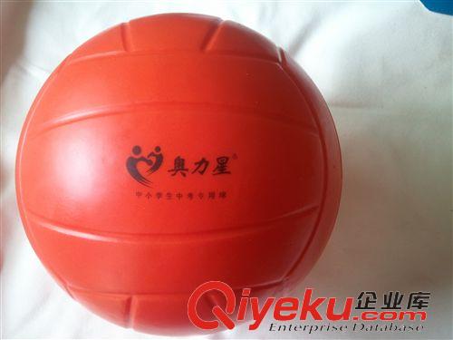 实心球、训练产品 充气实心球 投掷球 实心球 田径用品
