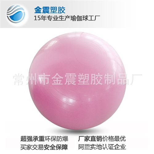 健身球 江苏常州生产厂家批发供应健身球、瑜珈球(图)
