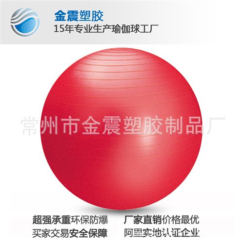 健身球 江苏常州厂家供应防爆出口德国健身球(图)    健身球