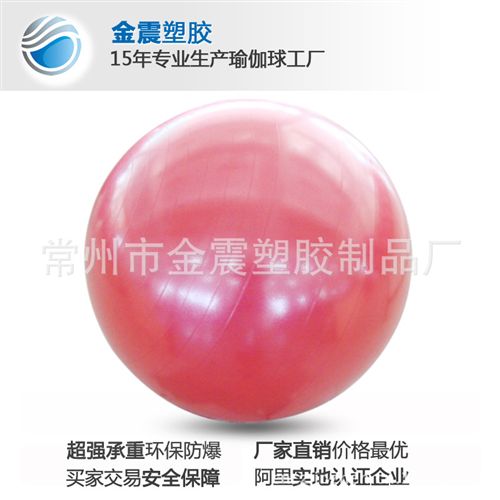 健身球 江苏常州厂家批发供应65CM健身球、瑜珈球(图)