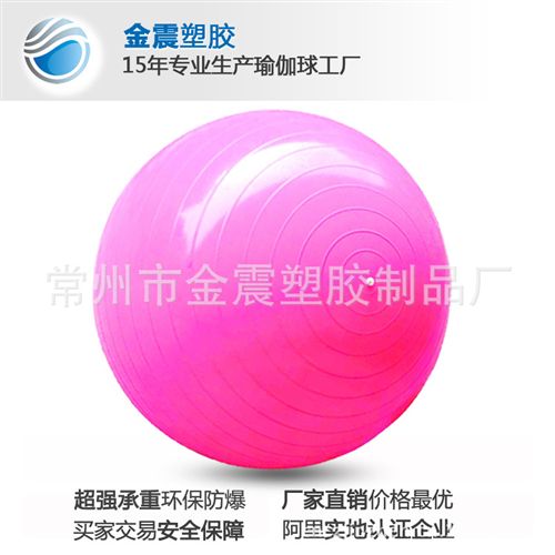 健身球 江苏常州厂家批发供应65CM健身球、瑜珈球(图)