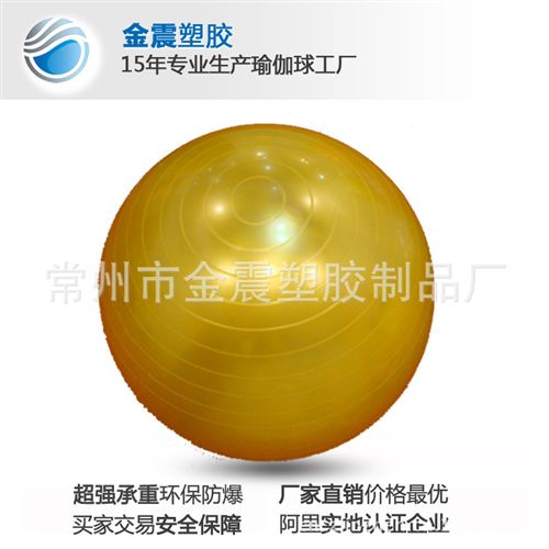 瑜伽球 【快消汇】江苏常州厂家批发2014款65CM瑜伽健身球