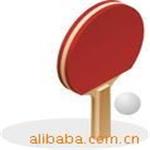 乒乓球拍 各种长柄短柄反胶专业底板优质胶皮的乒乓球拍量大从优