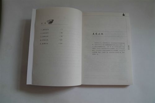 【博文图书】 小额批发 专业博文图书 历史传记之中国民俗文化