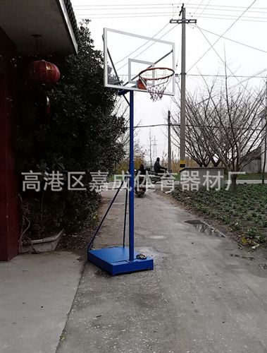 篮球器材 i供应【精品推荐】 中小学生篮球架 标准高度可升降移动篮球架