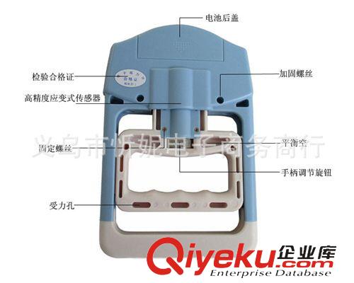 体质测试系列 厂家直销电子握力计 学生体质健康标准测试器材 握力测试仪