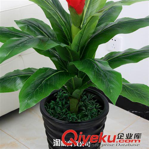 仿真植物高度分类 特价高仿真花 盆栽植物客厅假花装饰批发 70CM仿真大号鸿运当头花原始图片3