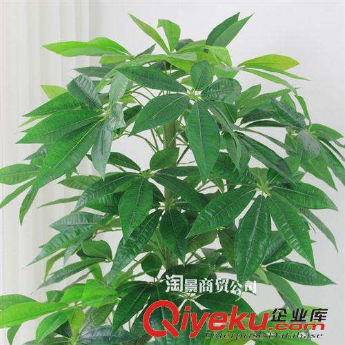 仿真植物高度分类 仿真植物树厂家批发假树落地摆放盆栽仿真树 1.6米过胶吉祥发财树