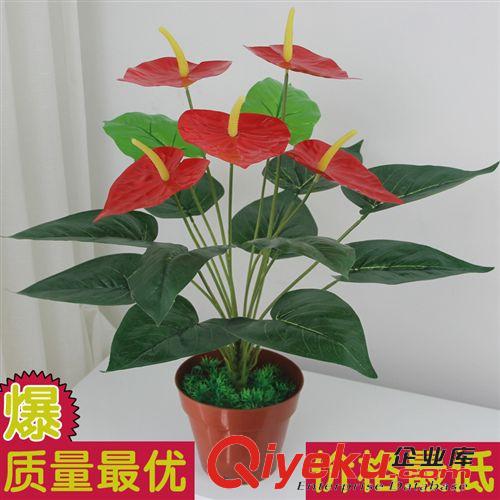 仿真植物品名分类 供应仿真植物 小盆景盆栽 家居装饰仿真花卉 假花批发 5头小红掌