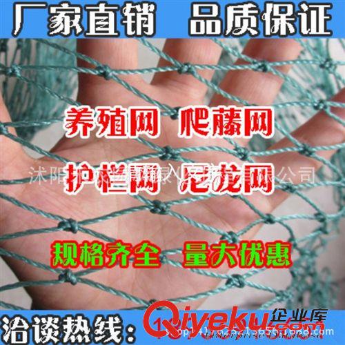 塑料网 花园防护塑料网子编织网防护网爬藤网尼龙网养殖网养鸡网养鸭网