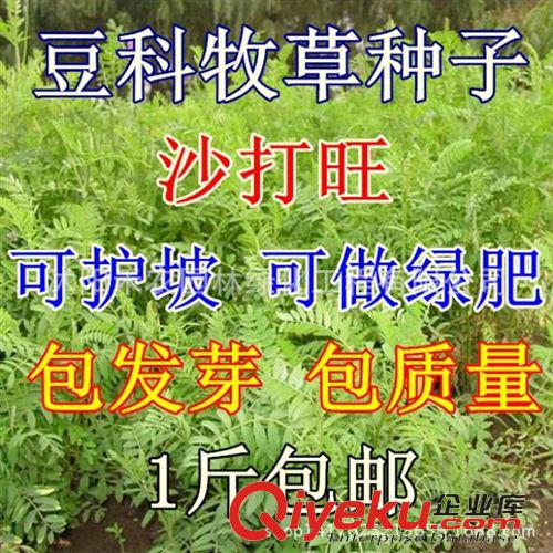 园艺护栏 塑料栅栏花盆围栏 塑料篱笆 塑料栅栏 白色 圣诞树 田园花园围栏