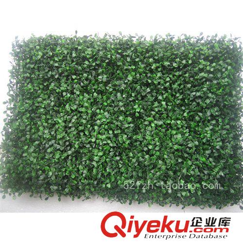 仿真草皮绿地毯(绿植墙) 仿真草坪40*60CM瓜子草双层加密绿色塑料草地绿植墙装饰批发