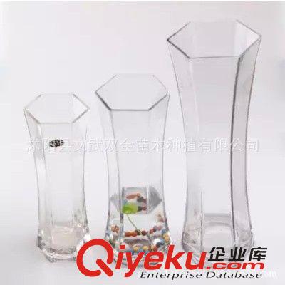 水生植物 六角透明玻璃瓶水培专用玻璃花瓶 富贵竹专用瓶 运竹星形花瓶