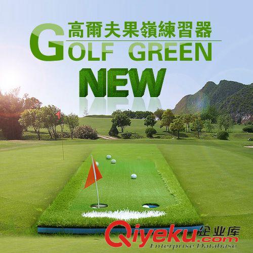 高尔夫练习用品 GOLF高尔夫 高尔夫推杆练习器 高尔夫室内 果岭练习器原始图片3