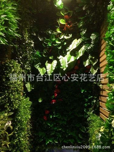 草类 仿真绿植墙 立体植物墙 墙面装饰 草墙  墙面绿化景观 墙面绿化