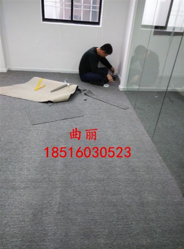 圈绒地毯 优质圈绒地毯质优圈绒地毯厂家  上海乐景地毯18516030523