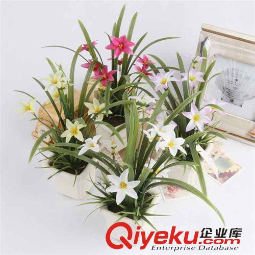 2015 新款产品 兰花仿真植物套装花 陶瓷花盆仿真植物 4色选 兰花人造花迷你盆景