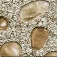 安美特片材塑胶地板 鹅卵石纹、凸出的石纹防滑、耐磨具有立体