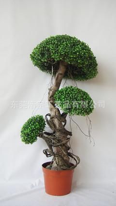 仿真绿植 创意米兰球树仿真盆栽~异形仿真树